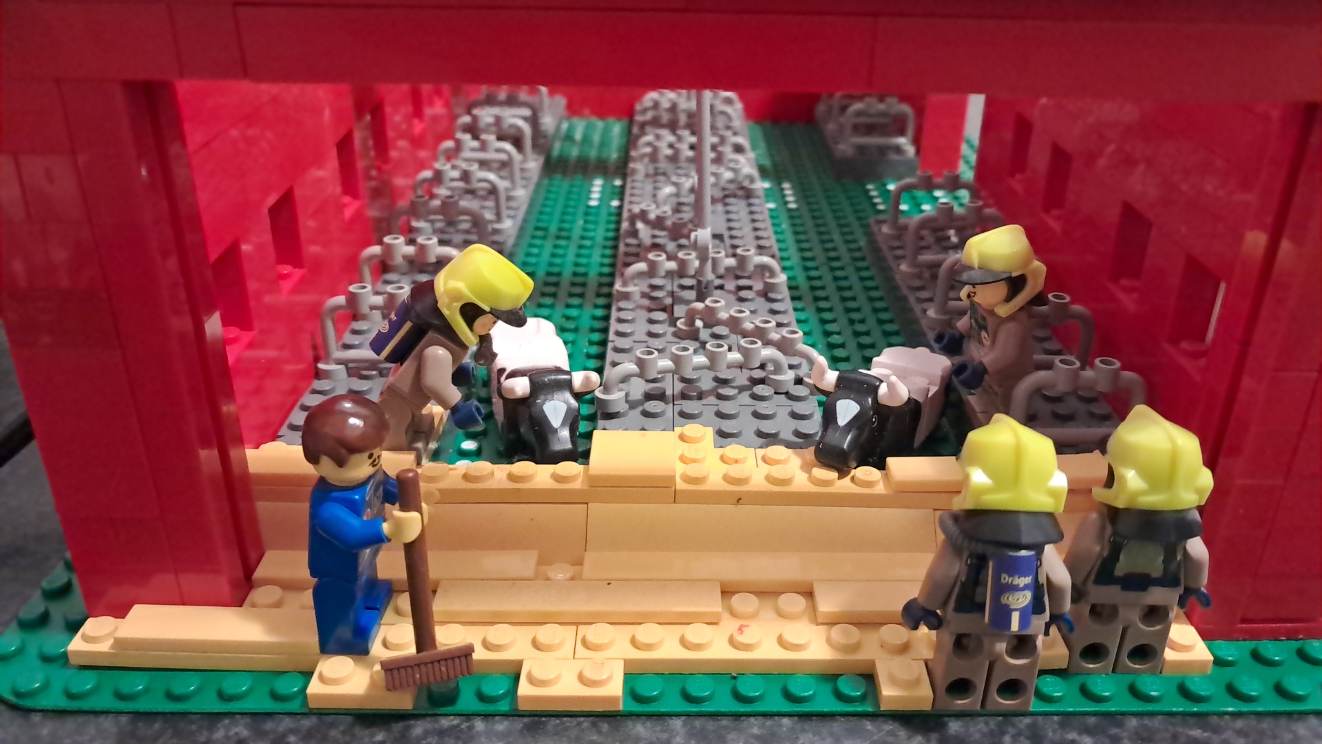 veertig koeien door stalvloer gezakt IncidentenCity Westbroek januari 2025